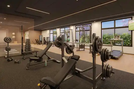 SP 360° Smart Living by Eztec — Perspectiva ilustrada — Fitness de musculação