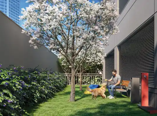Casa Nacional Brooklin — Perspectiva ilustrada — Pet place