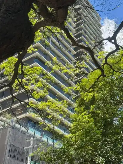PARK AVENUE Ibirapuera — Fachada — foto oficial